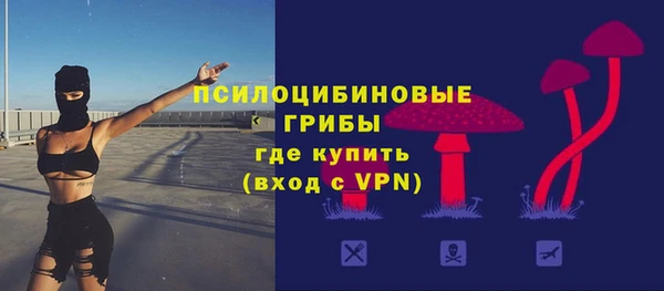 ГАЛЛЮЦИНОГЕННЫЕ ГРИБЫ Лихославль