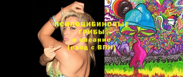 мдпв Лиски