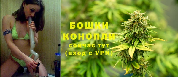 ГАЛЛЮЦИНОГЕННЫЕ ГРИБЫ Лихославль