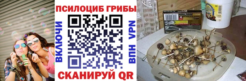 Галлюциногенные грибы GOLDEN TEACHER  Купить закладки  Перевоз 